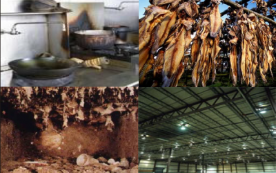 Phew!! What’s that Smell?